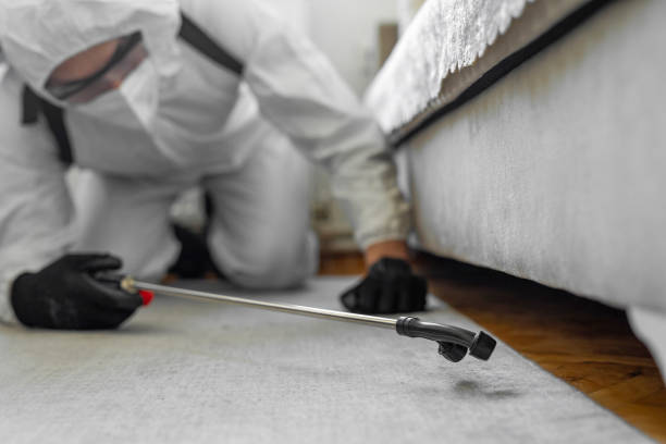 Professional Bed Bug Control technician working in North Logan, UT