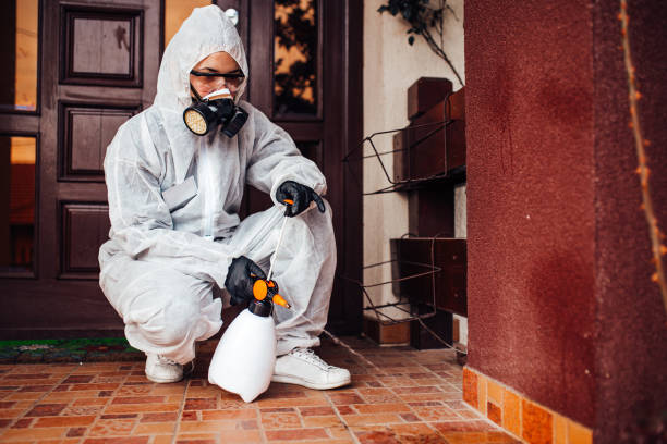 Reliable Bed Bug Control contractor in North Logan, UT by Nex Pest Control